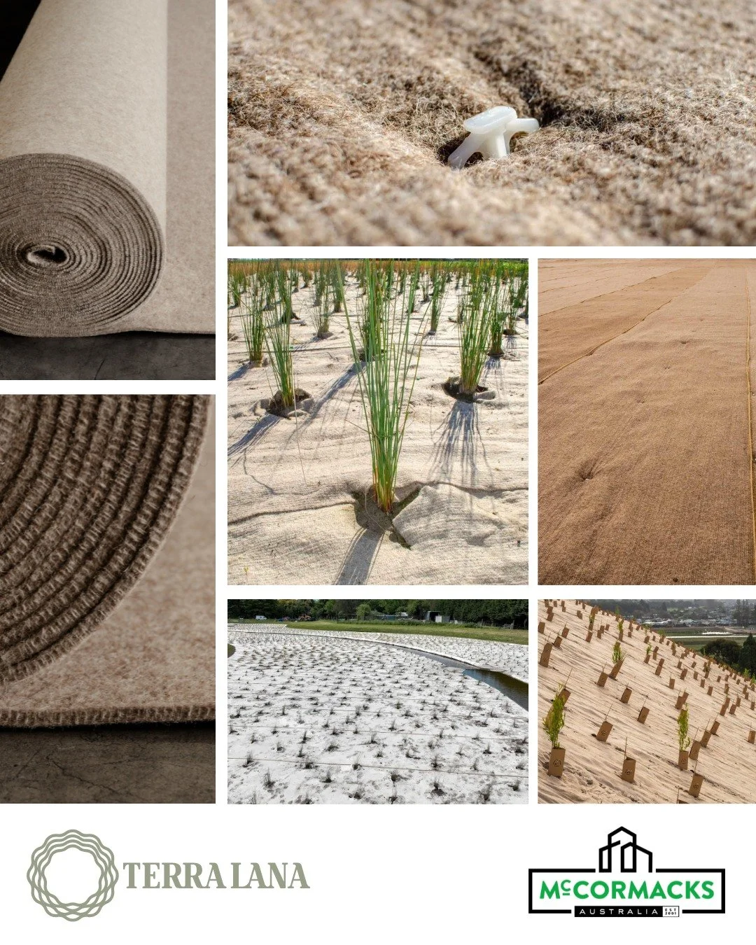 A natural solution for healthier landscapes. 🌱

Terra Lana DagMat is designed to stabilise soil, suppress weeds and support strong plant establishment across a wide range of projects.

Made from New Zealand wool, it forms a dense protective layer th