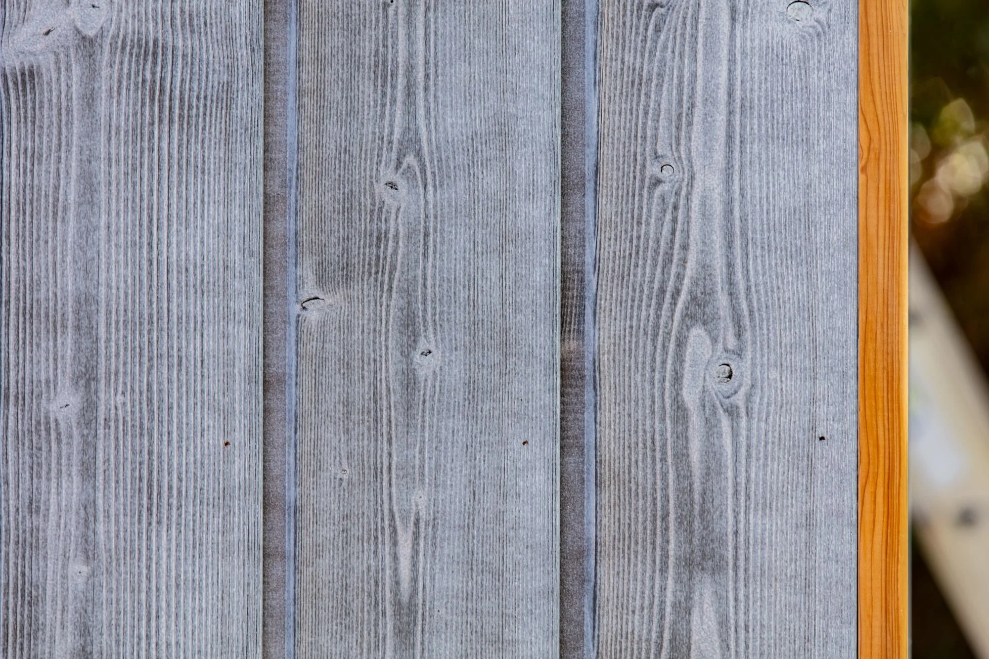 thermo spruce c26 black pearl (4).jpg