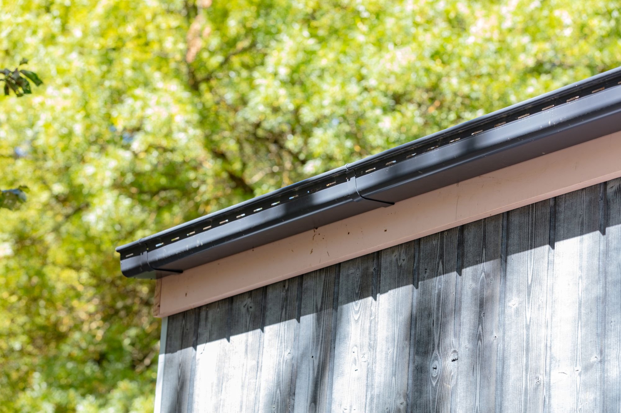 thermo spruce c26 black pearl (1).jpg