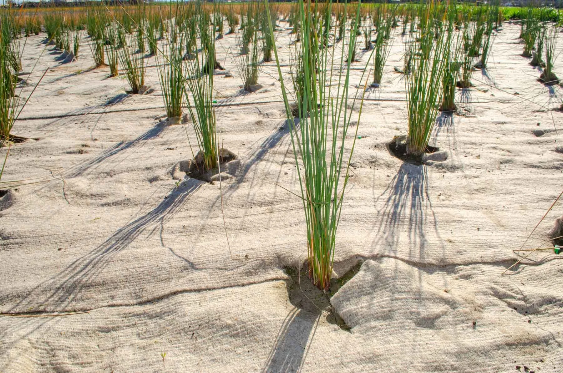 Terra Lana DAGMAT Install Projects McCormacks Australia (7).jpg