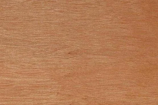 TURPENTINE CROPPED.jpg