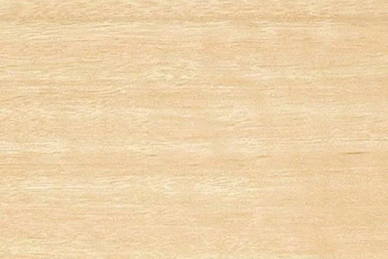 STRINGYBARK SILVERTOP CROPPED.jpg