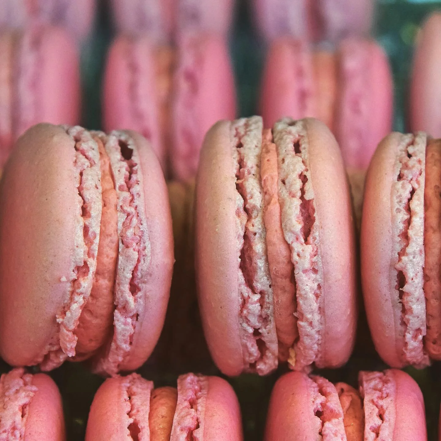 A macaron never failed to warm any heart 💕
📸Raspberry and cream macarons
^
^
^
^
#theplace #theplacesandiego #theplaceoceanside #sandiego #oceanside #bakery #bakedgoods #baked #bakeshop #baking 
#food #foodie #cakes #cookies #macarons #chsugar #sma