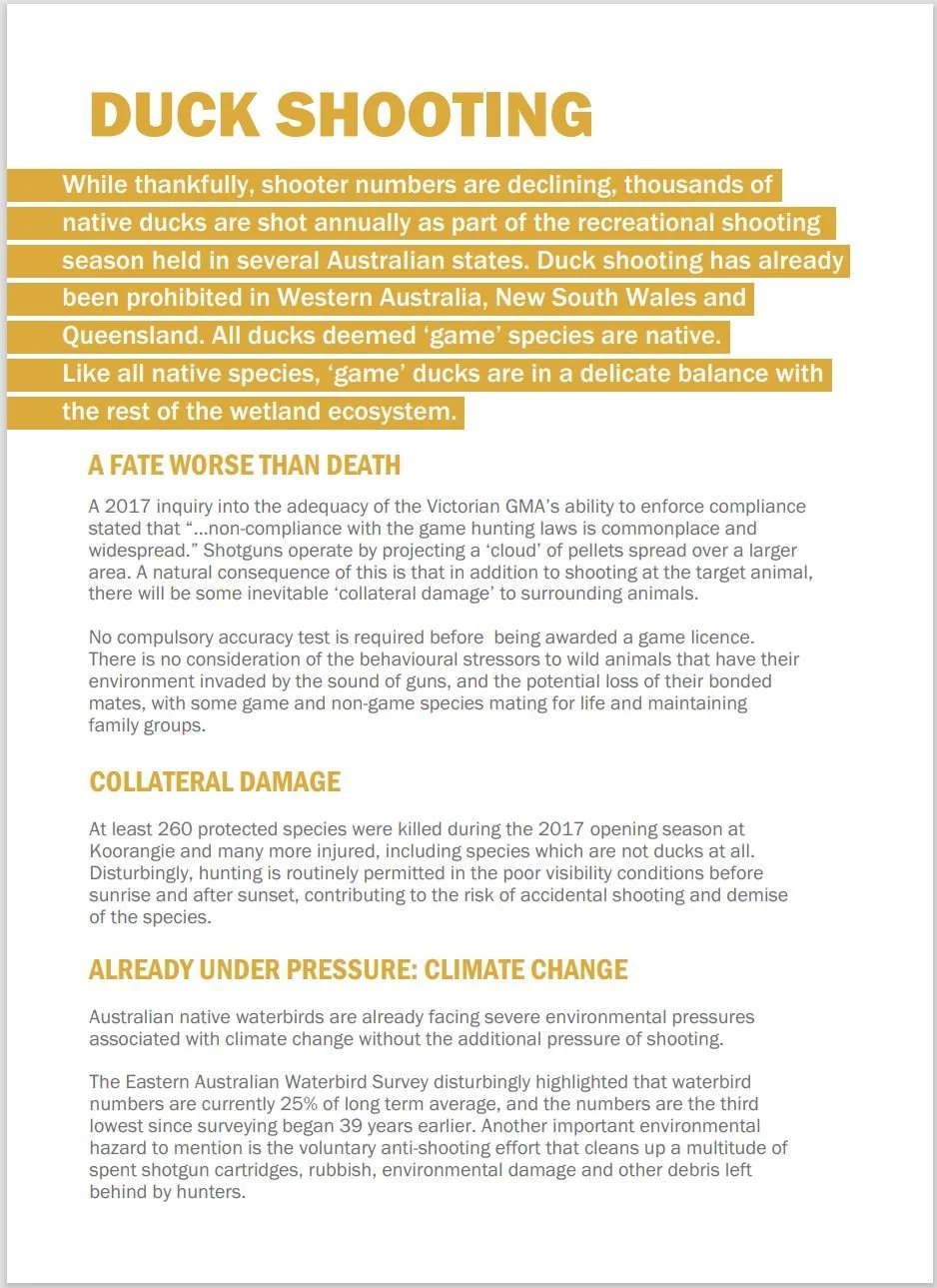 Resources — Defend The Wild