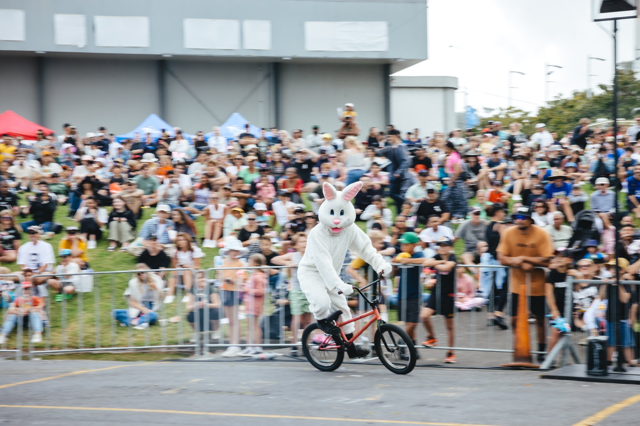 A person dressed in a white bunny costume riding a bike at an outdoor event, with a large crowd sitting on the grass in the background.
