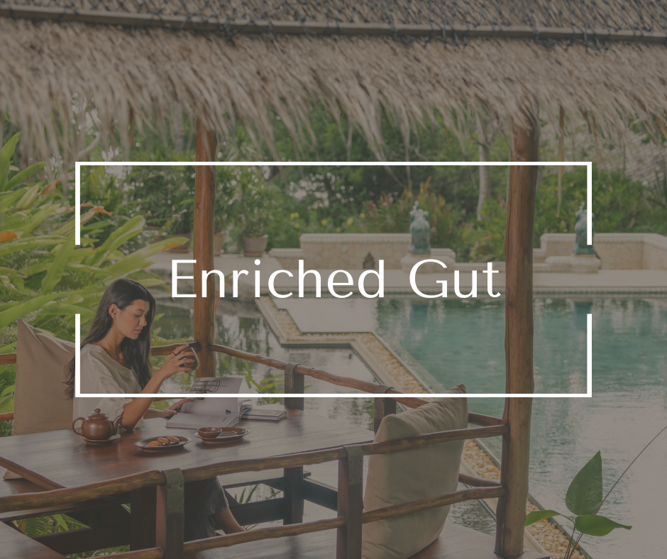 Restore balance and wellbeing with a tailored program combining yoga, Ayurveda, Traditional Chinese Medicine, and naturopathy—focusing on the gut to enhance both physical and mental health.