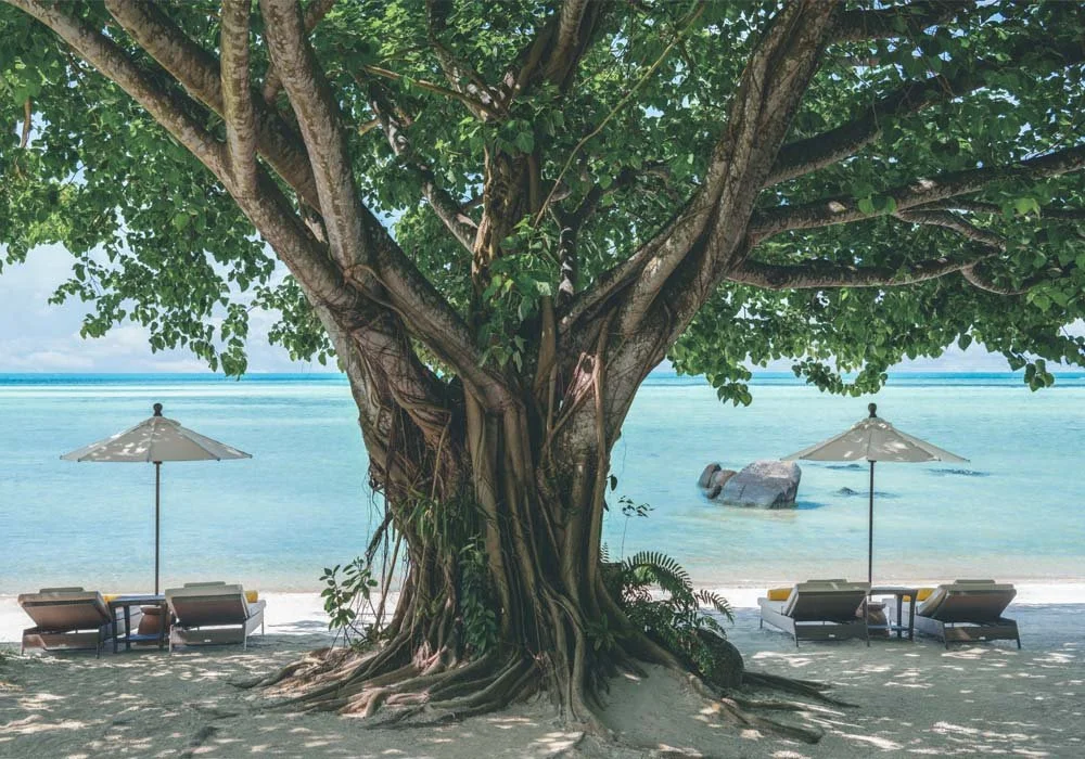 kamalaya-beach-04.jpg