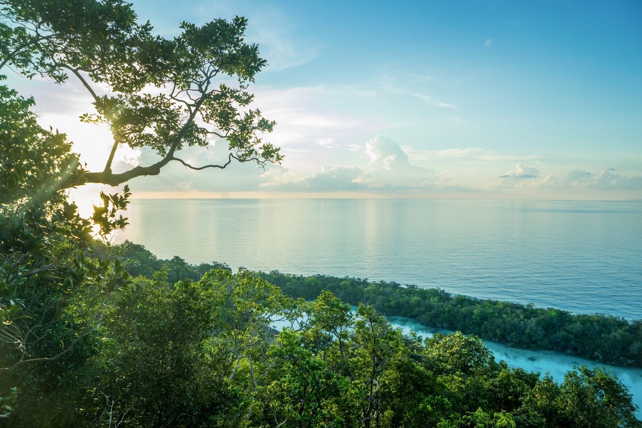 Discover this Restorative Luxury Wellness Retreat at Bawah Reserve.