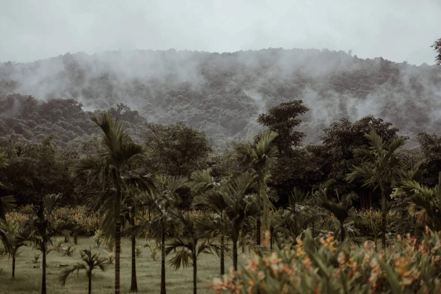 Datu Wellness: A Guided Ayurveda Retreat in Goa, India