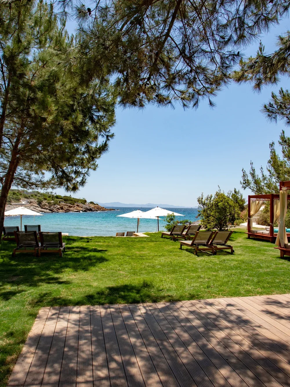 Family_Beach_Bar.webp