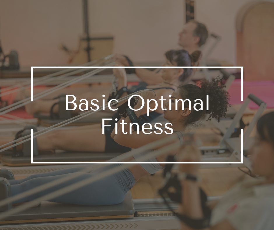 Achieve your fitness goals with personalised guidance from expert trainers, tailored to your level, complemented by massage therapies to support recovery and help integrate lasting healthful habits