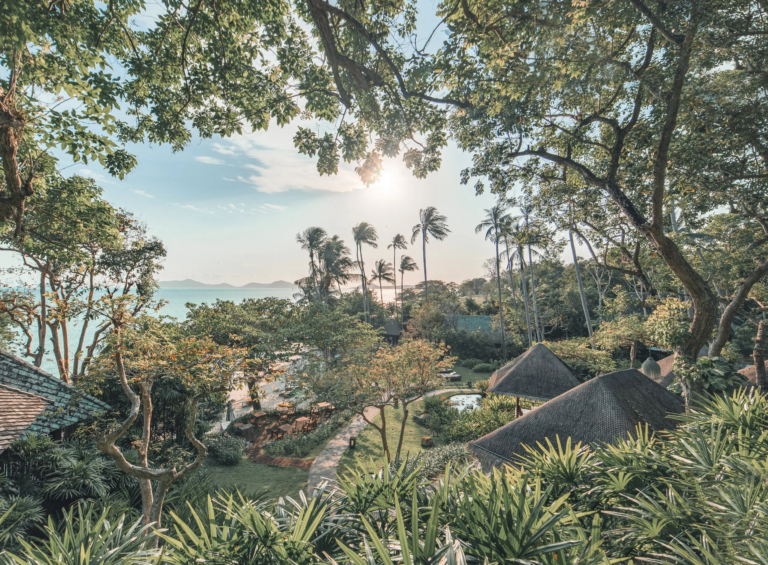 Landscape.jpg