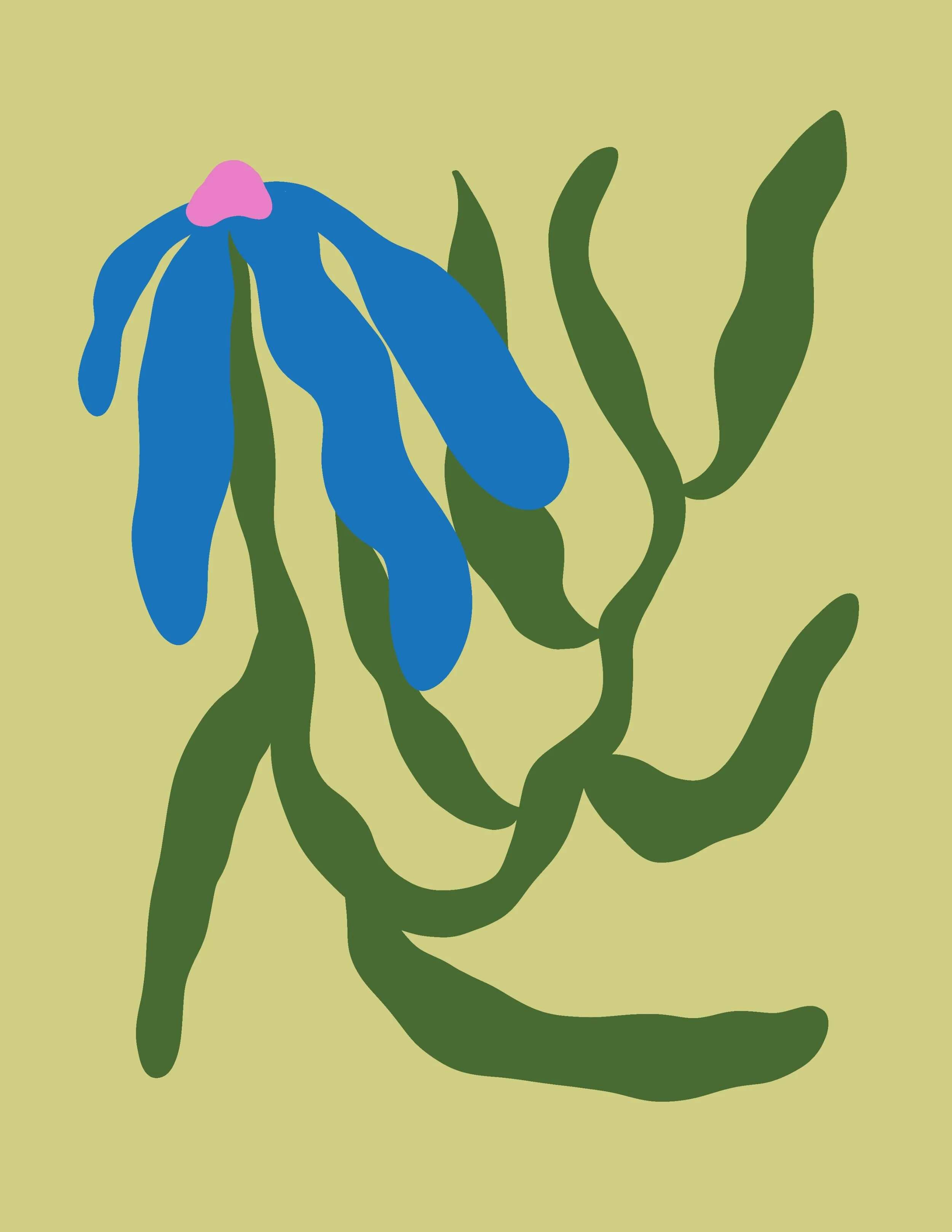 Growth