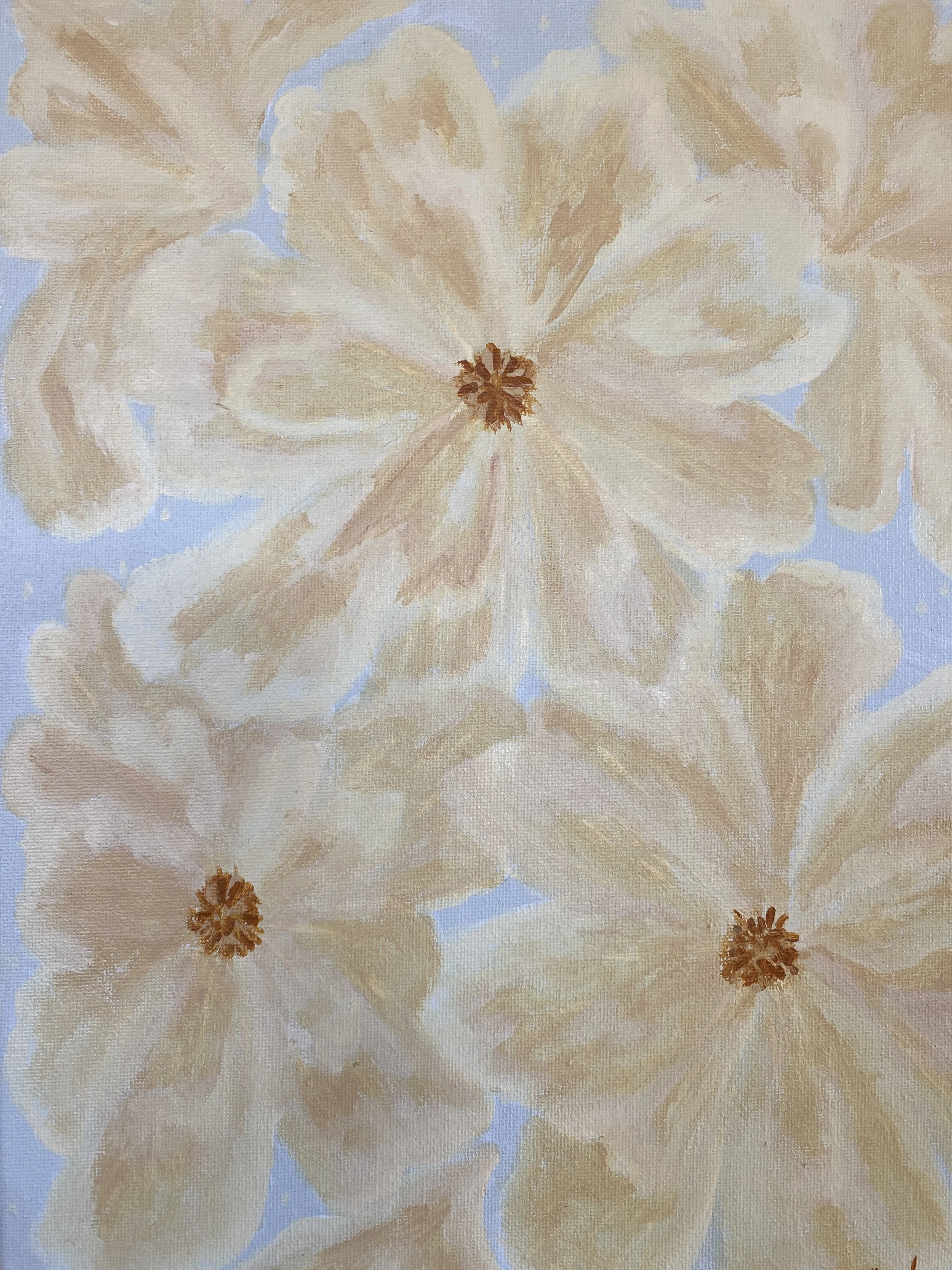 Silky Petals
