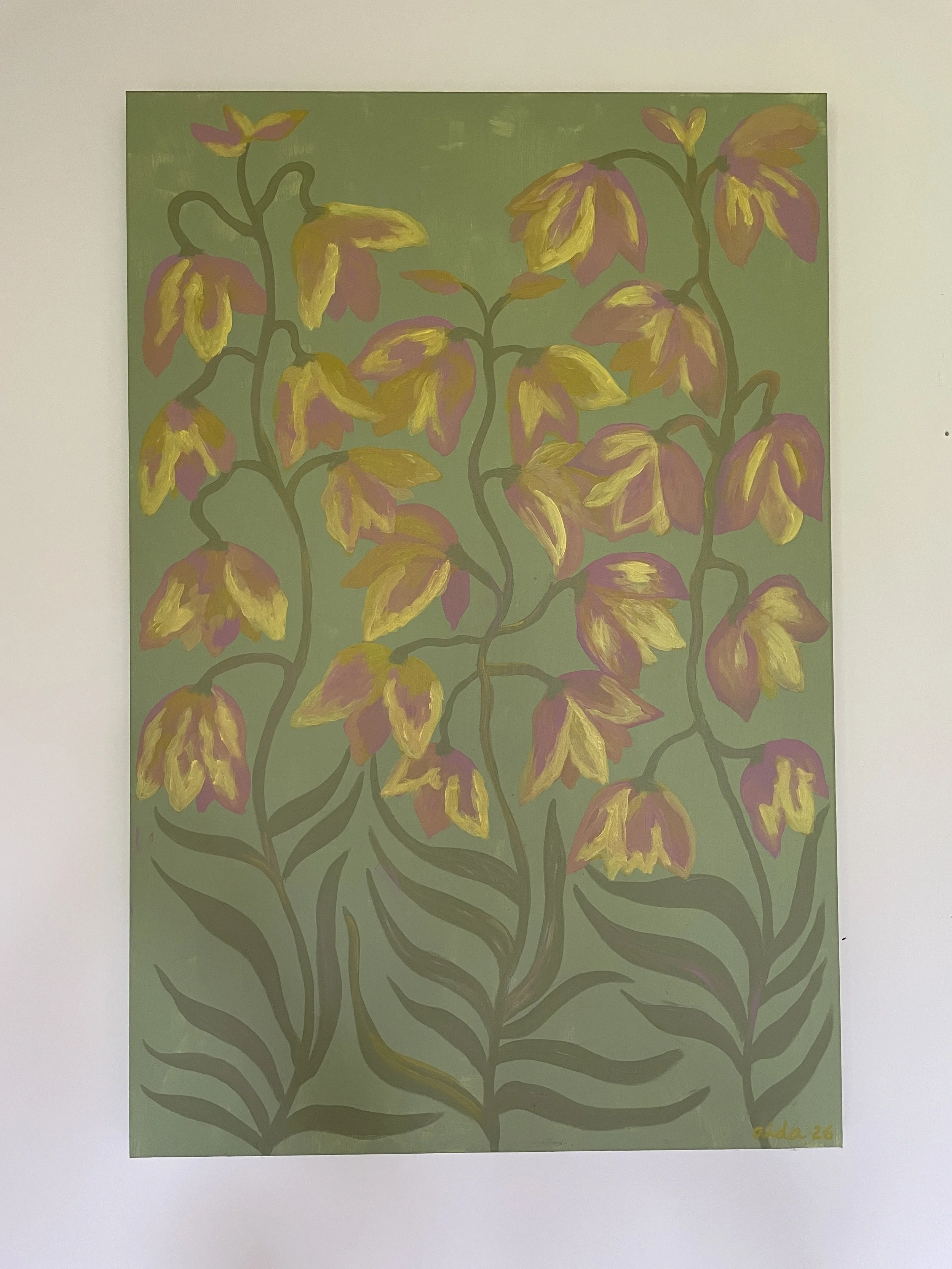 Persian Lily.JPG
