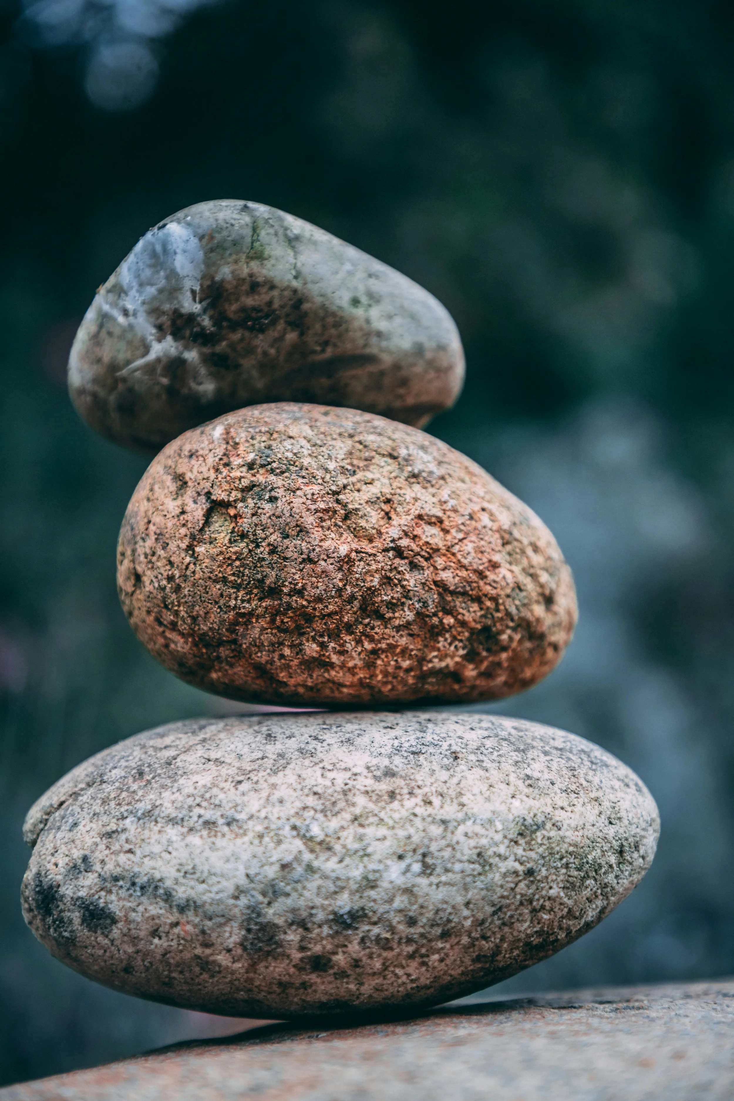 Head Says Yes. Heart Says Maybe. Gut Says “Hang On a Minute.” — The Inner Intelligence of Leadership Presence