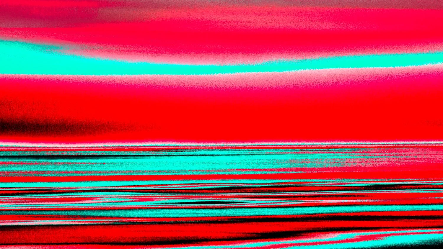 dng-3.jpg