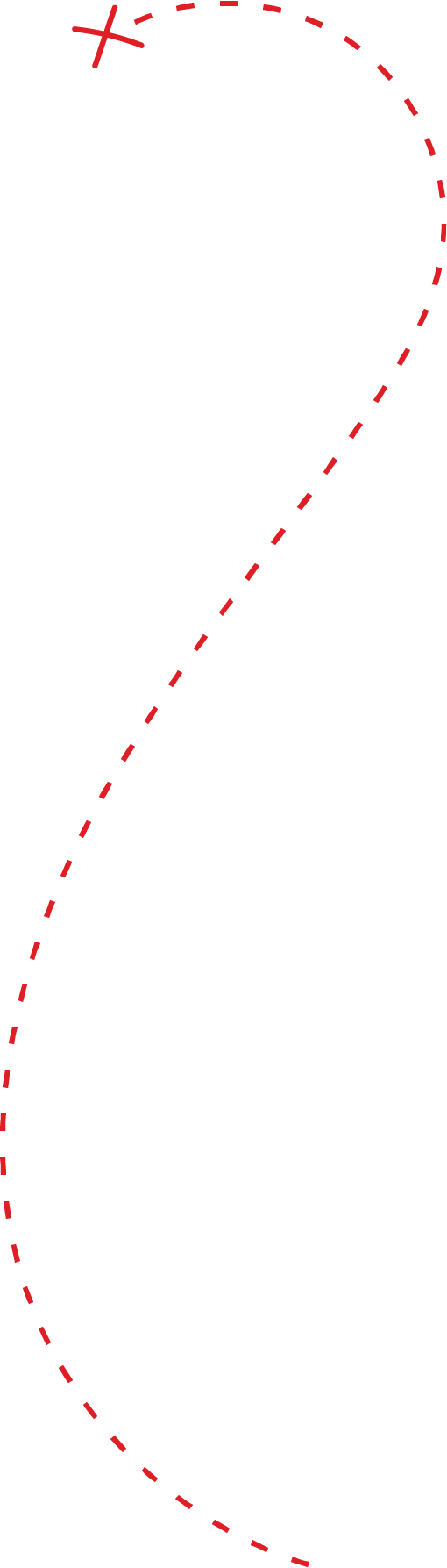 red vertical dashed line with X at the top