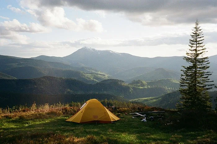 Yellow tent pitched in a lush green valley with a fir tree next to it