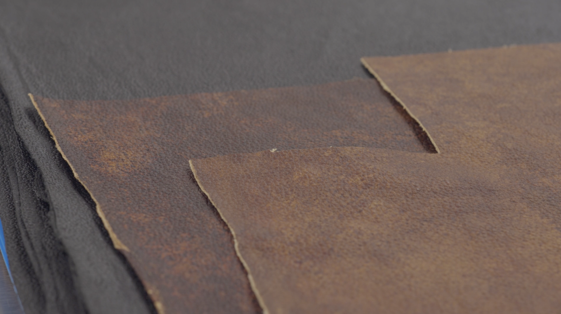 ReD Associates_Second skin film_mycelium leather.png