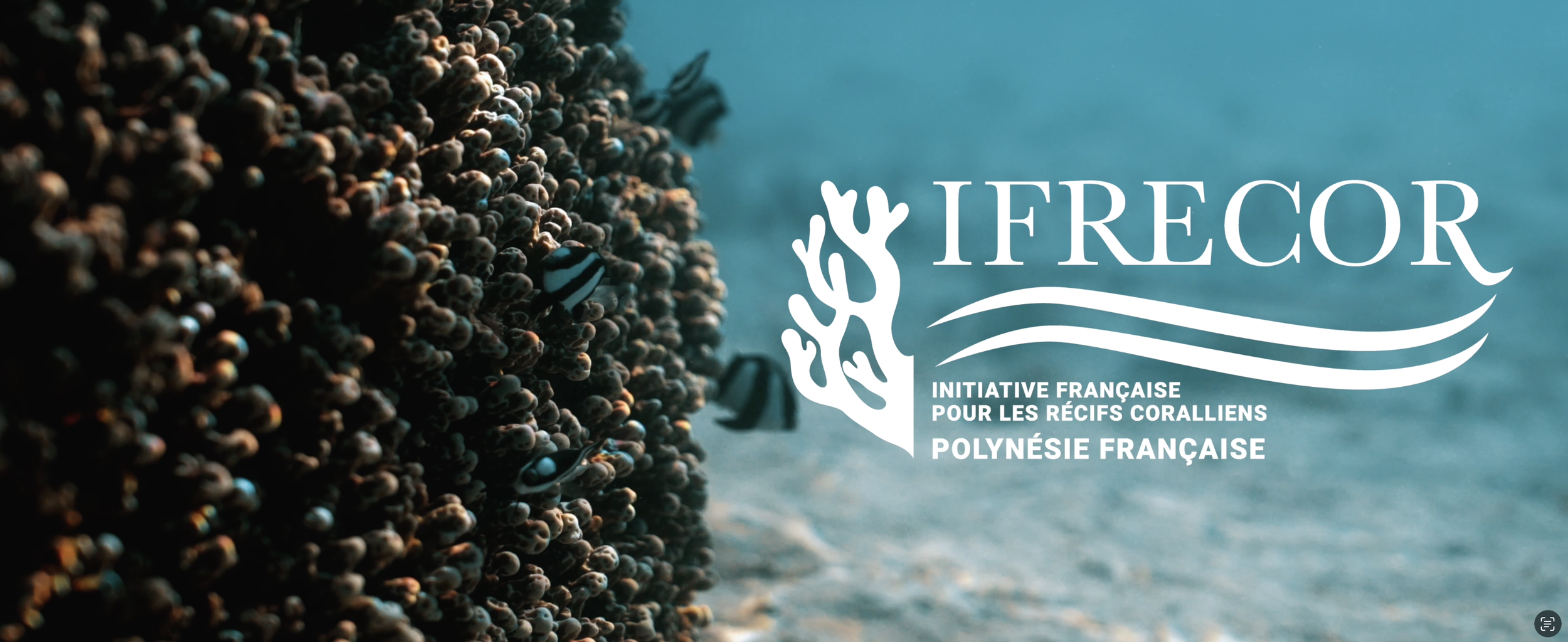 Capture d’écran 2026-03-28 à 18.45.05.png