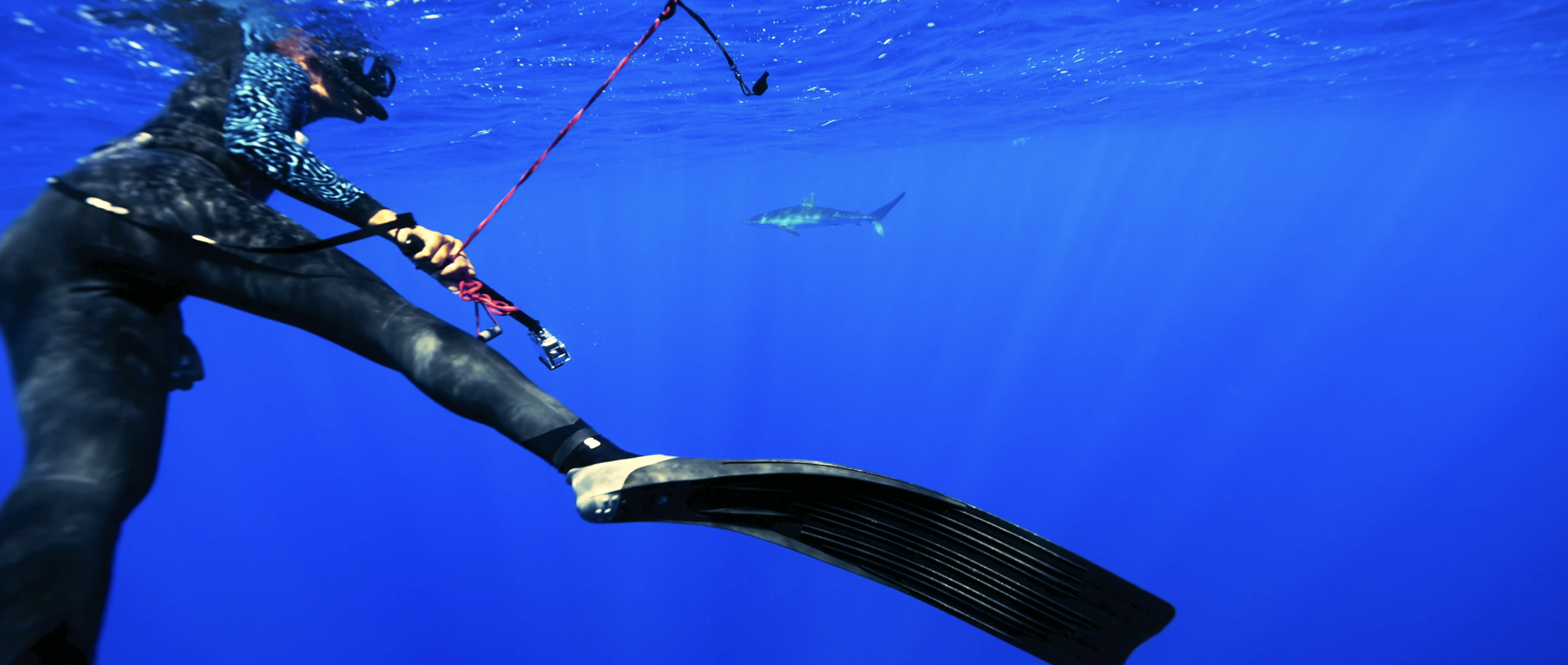 Capture d’écran 2026-03-28 à 14.54.46.png