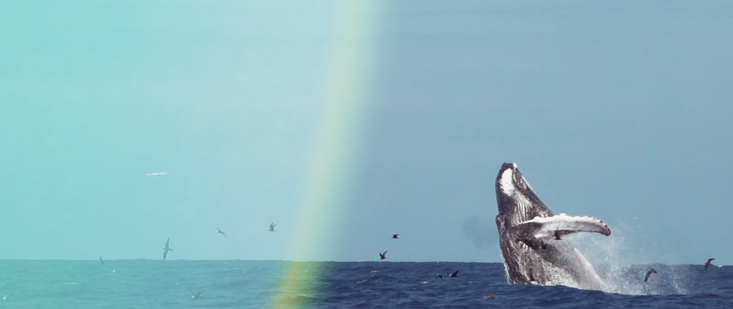 Capture d’écran 2026-03-28 à 19.42.45.png