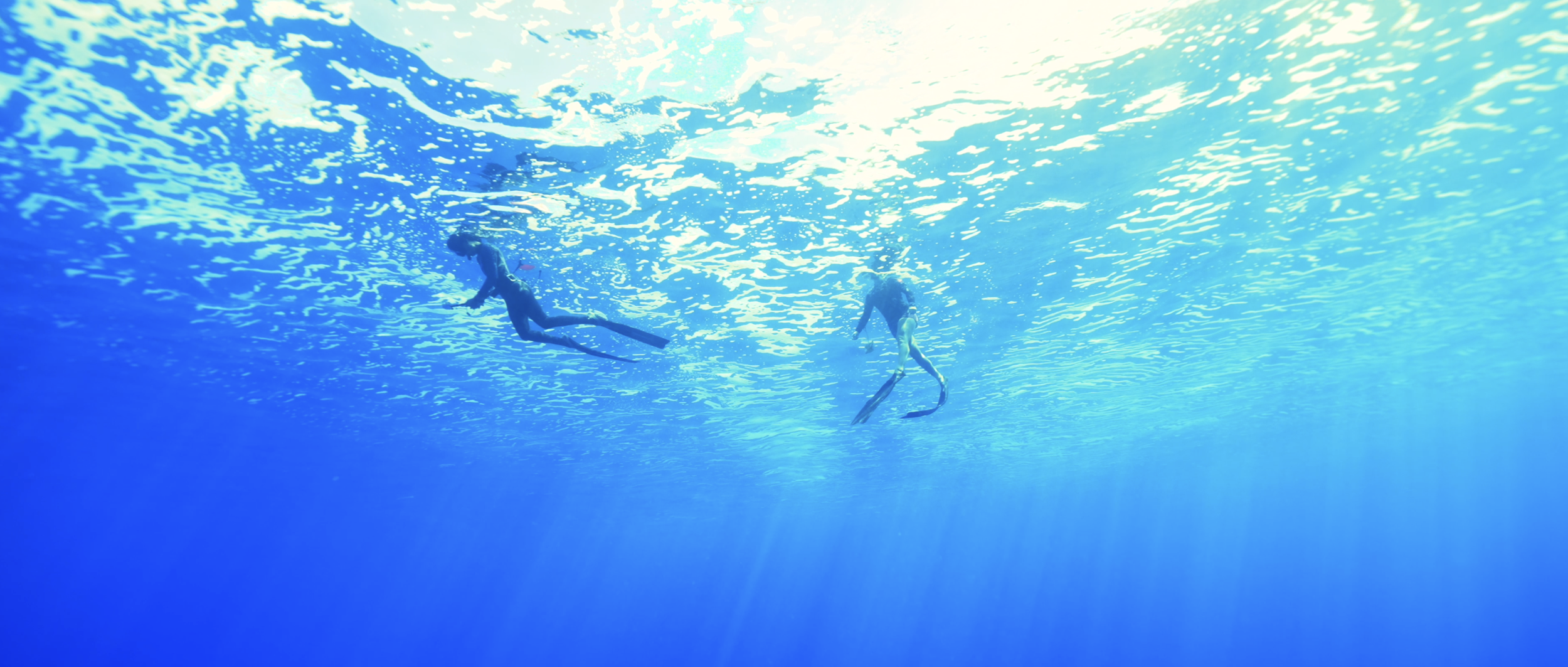 Capture d’écran 2026-03-28 à 14.54.31.png