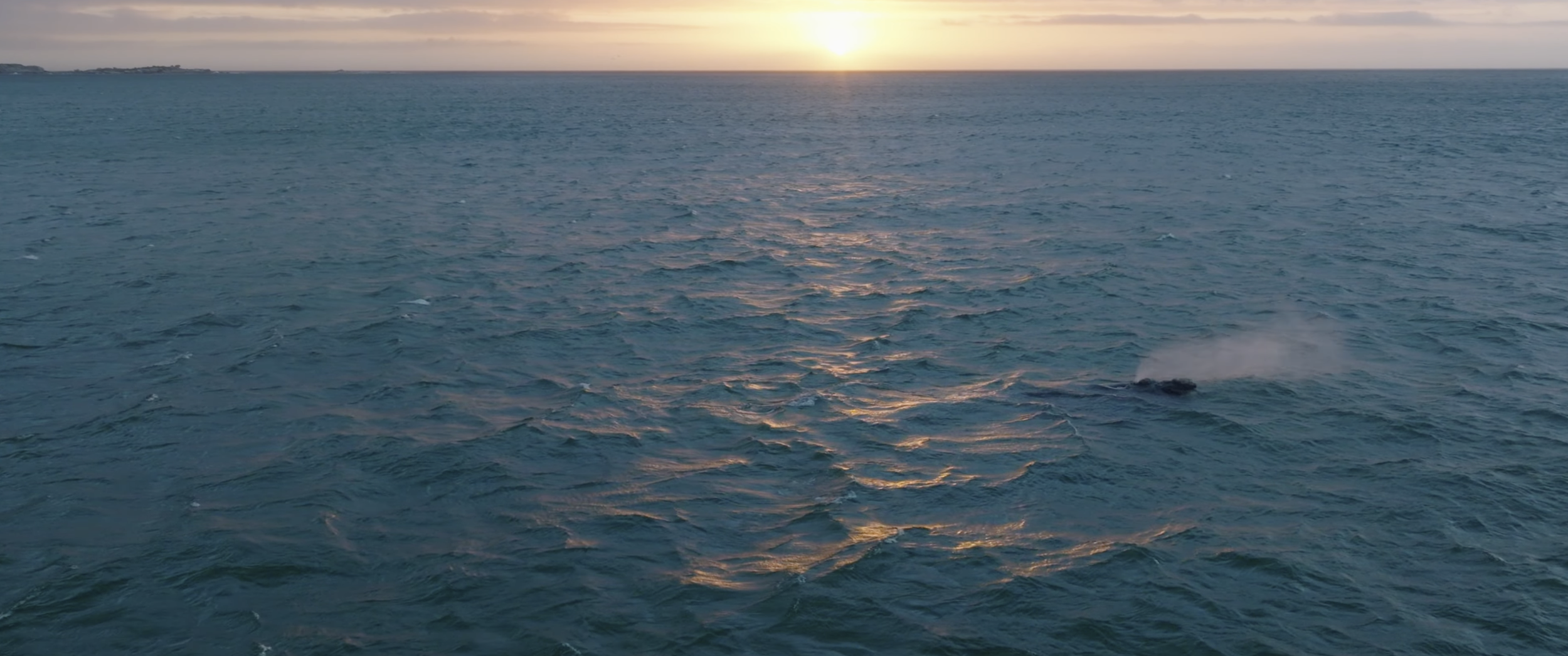 Capture d’écran 2026-04-16 à 03.32.09.png