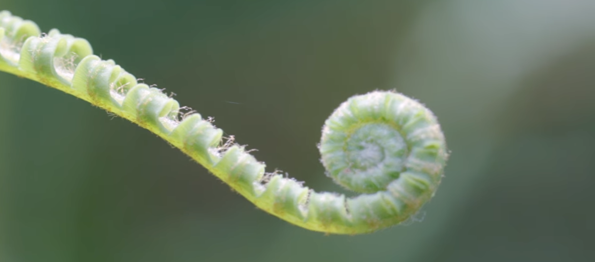 Capture d’écran 2026-03-29 à 12.03.17.png