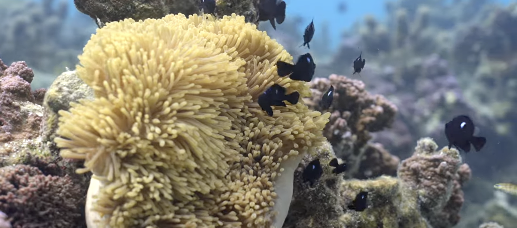 Capture d’écran 2026-03-29 à 11.59.59.png