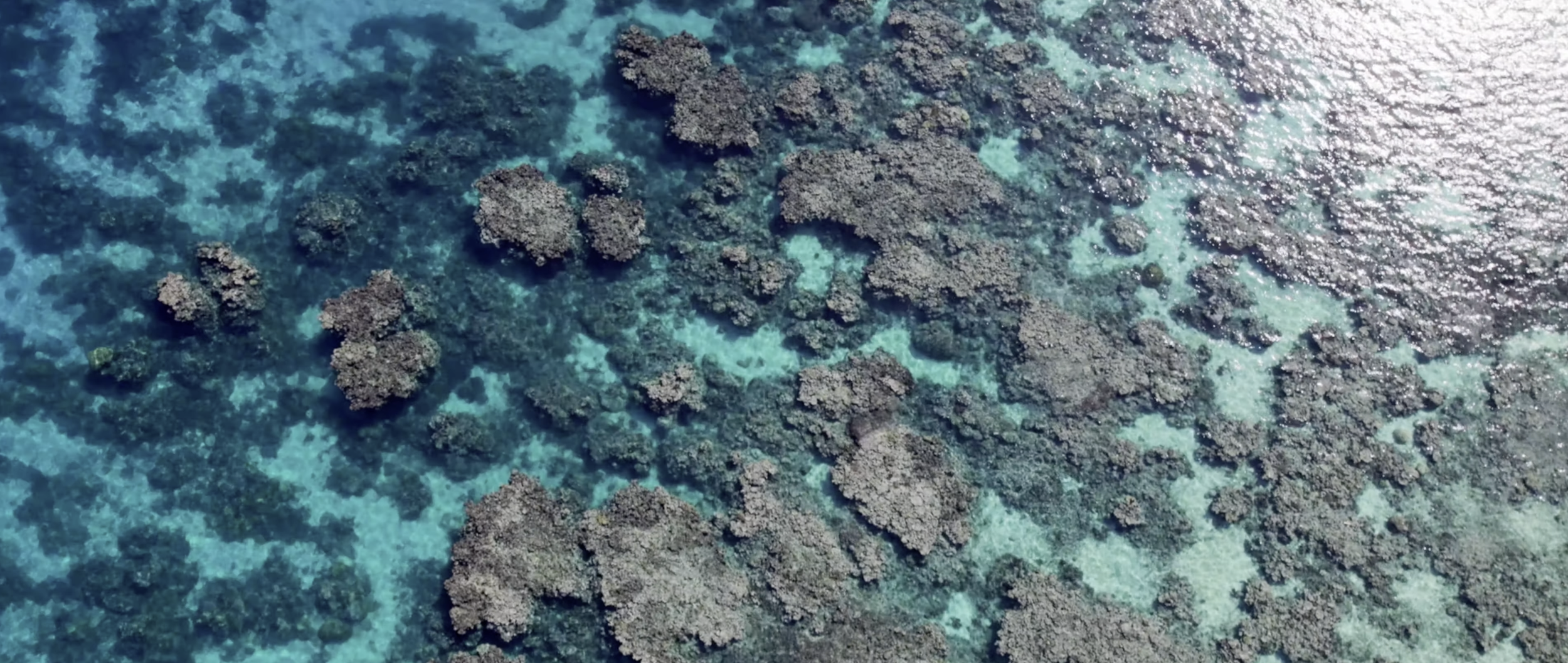 Capture d’écran 2026-04-16 à 03.34.05.png