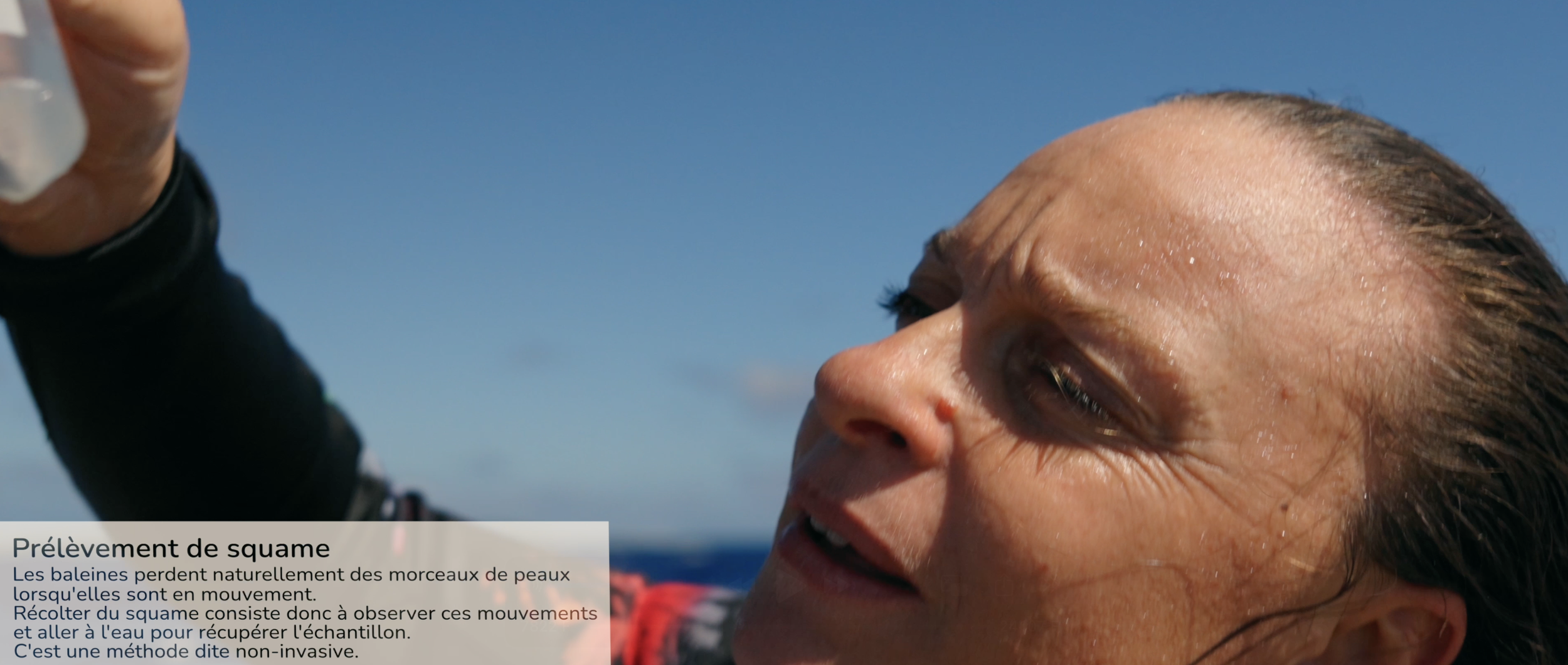 Capture d’écran 2026-03-28 à 14.55.07.png