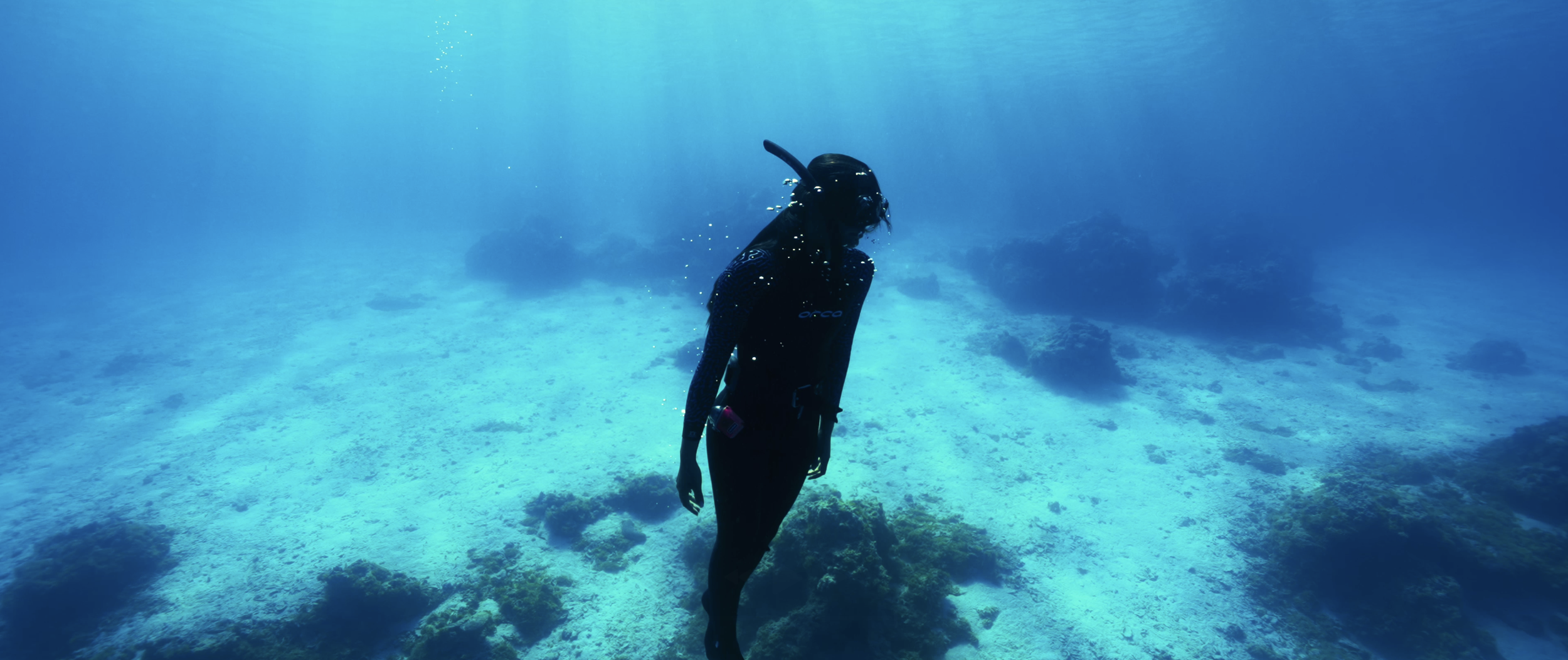 Capture d’écran 2026-03-28 à 14.56.49.png