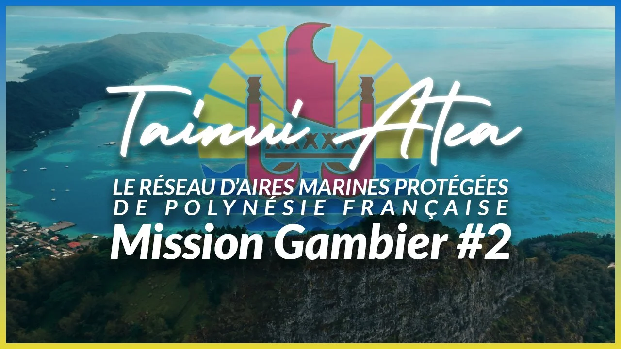 ÉCOLOGIE : Tainui Atea - Aire Marine Protégée de Polynésie française