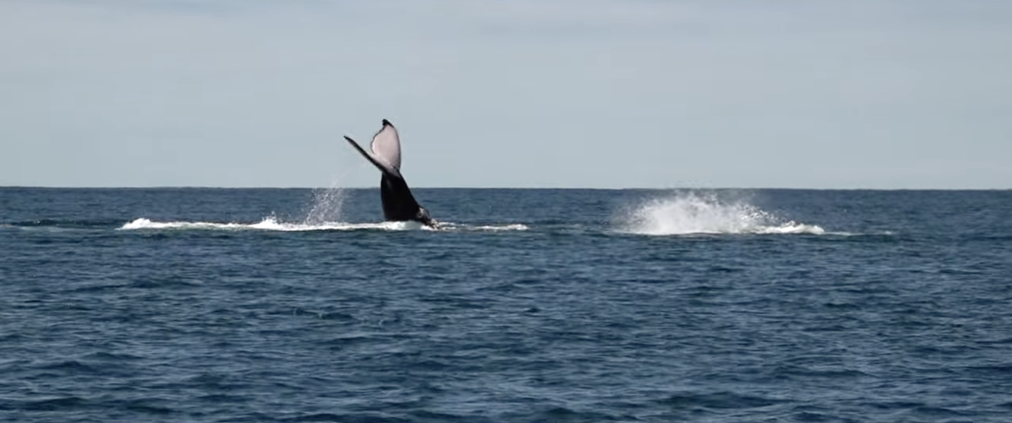 Capture d’écran 2026-03-28 à 19.53.03.png