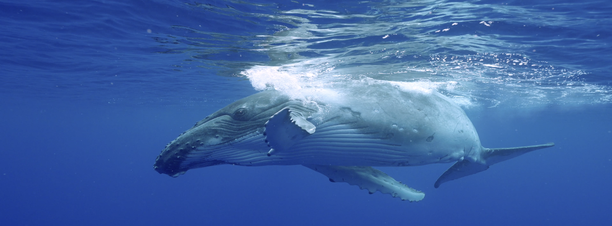 Capture d’écran 2026-03-28 à 13.47.48.png