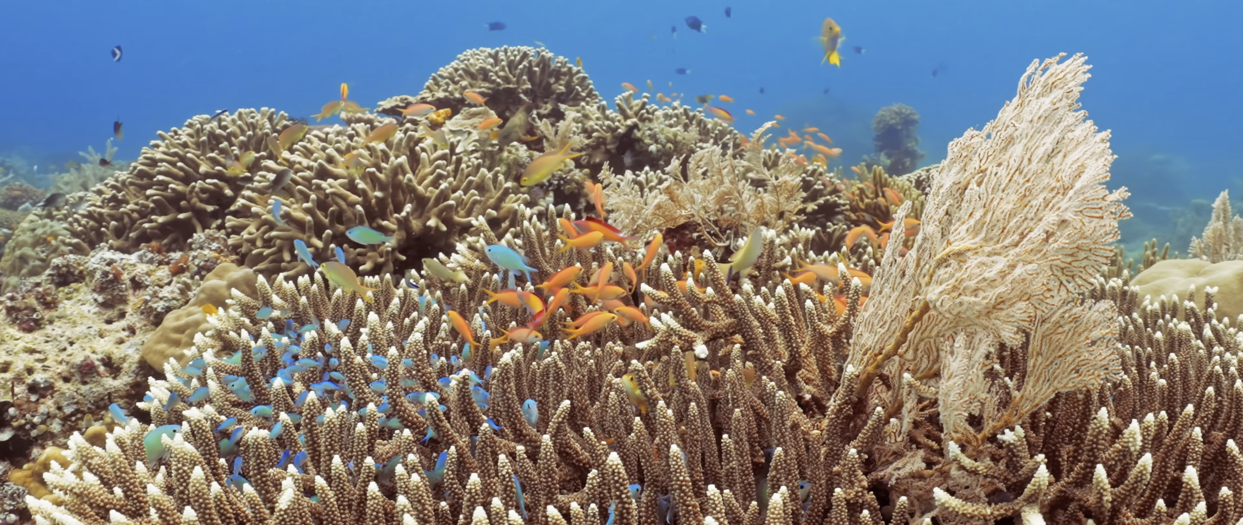 Capture d’écran 2026-04-16 à 03.34.16.png