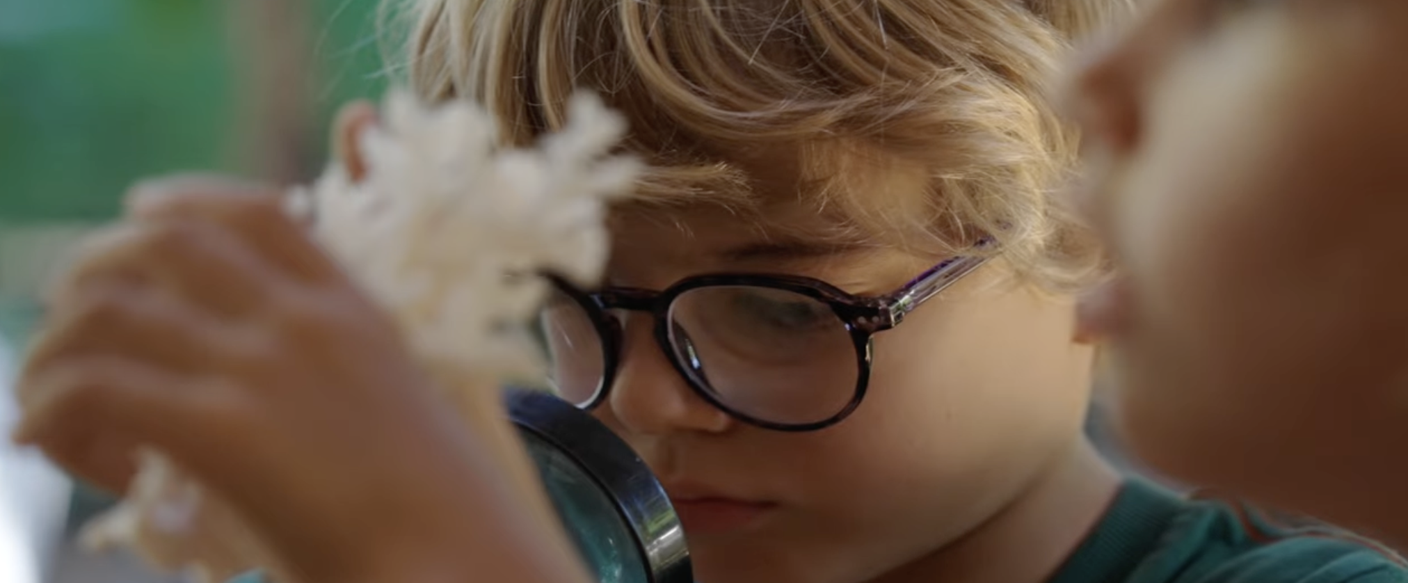 Capture d’écran 2026-03-29 à 11.58.58.png