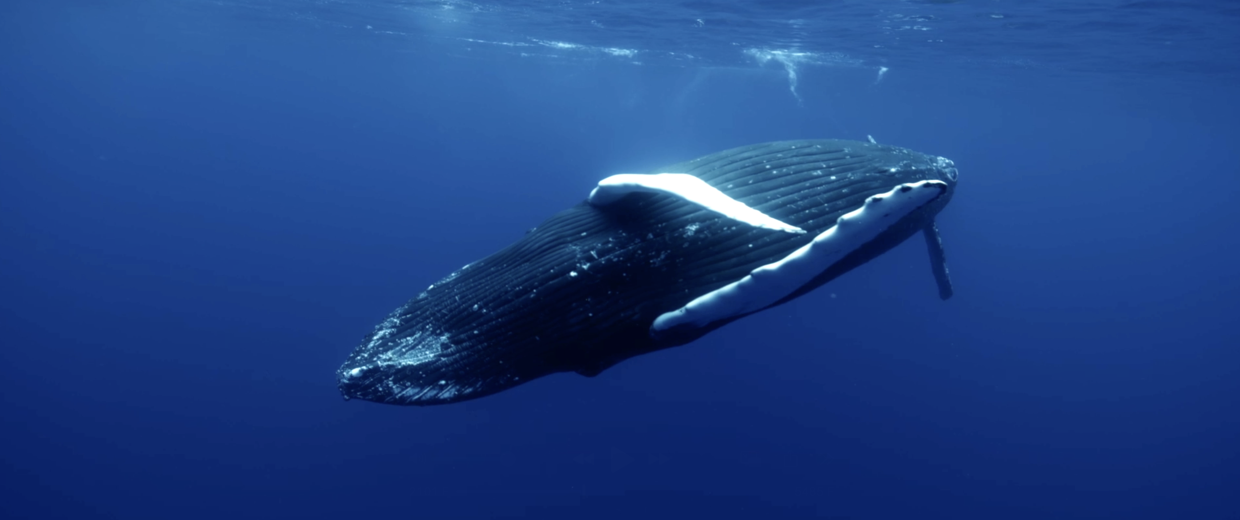 Capture d’écran 2026-03-28 à 19.25.48.png