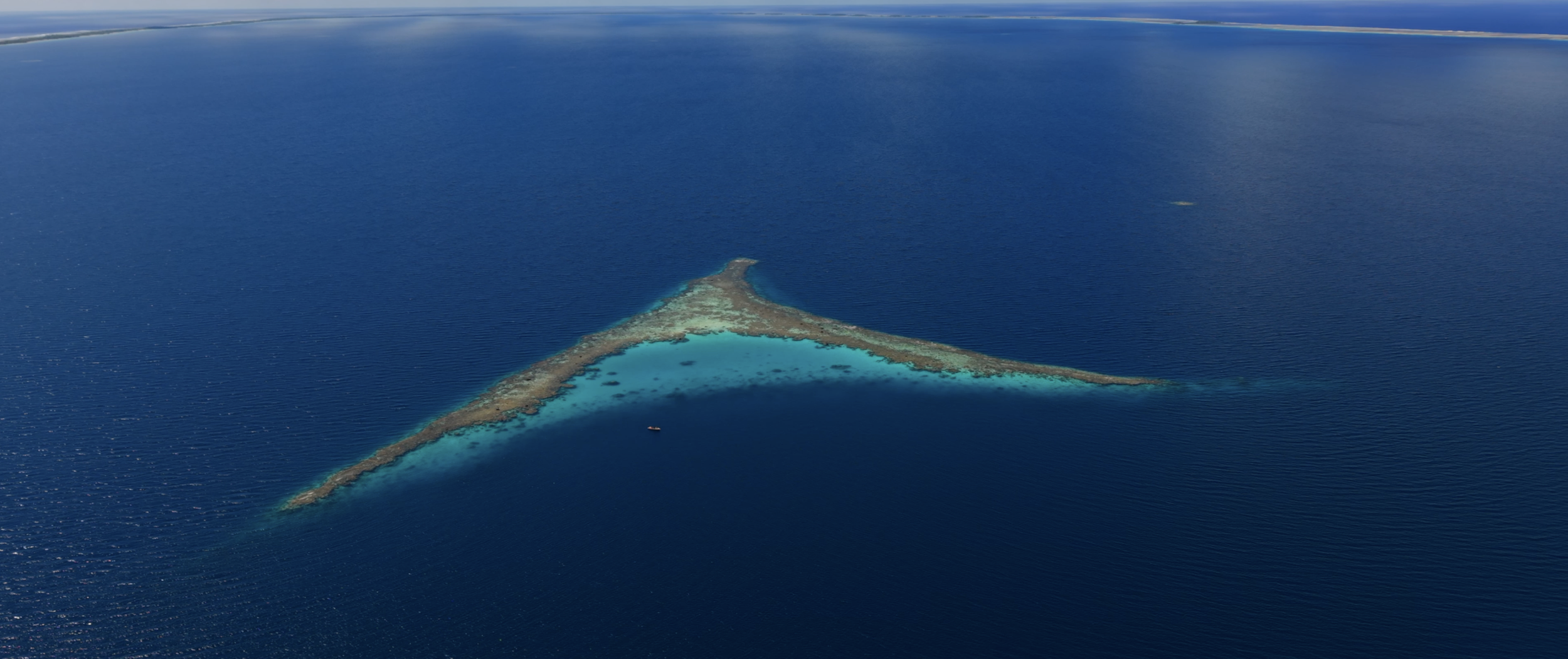 Capture d’écran 2026-03-28 à 14.57.03.png