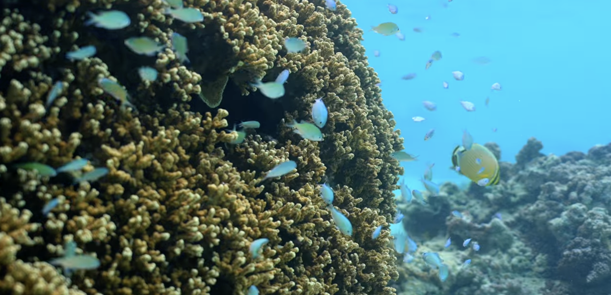 Capture d’écran 2026-03-29 à 11.59.48.png