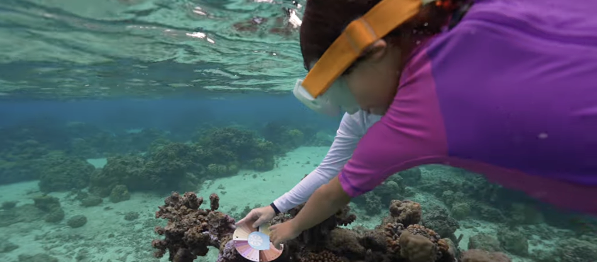 Capture d’écran 2026-03-29 à 12.01.06.png