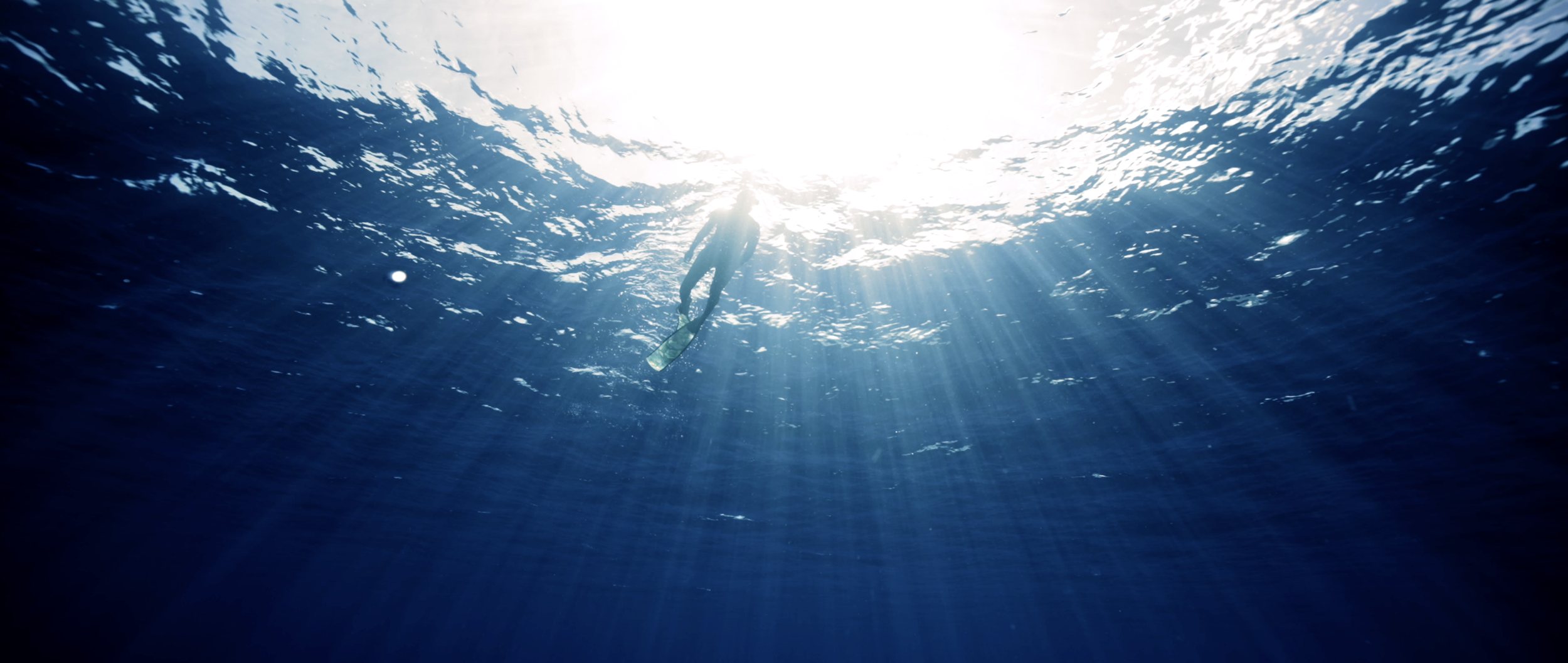 Capture d’écran 2026-03-28 à 19.25.26.png