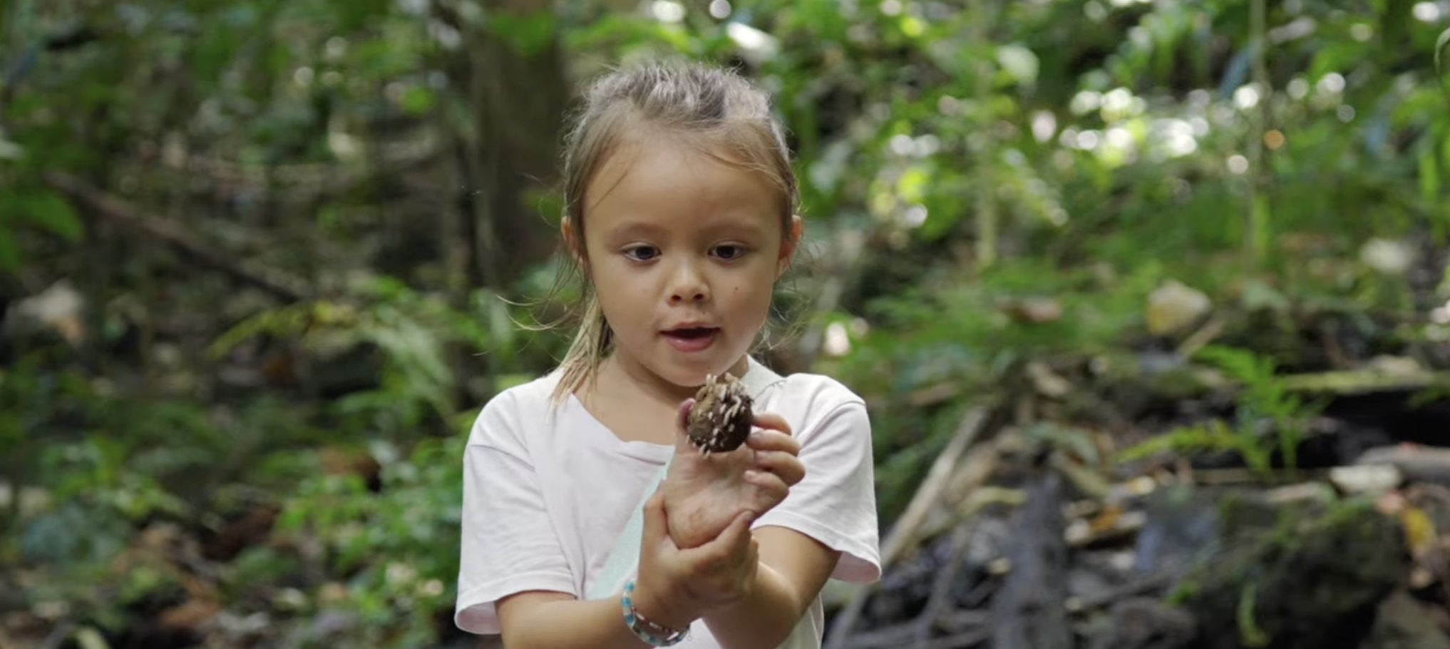 Capture d’écran 2026-03-29 à 12.03.28.png