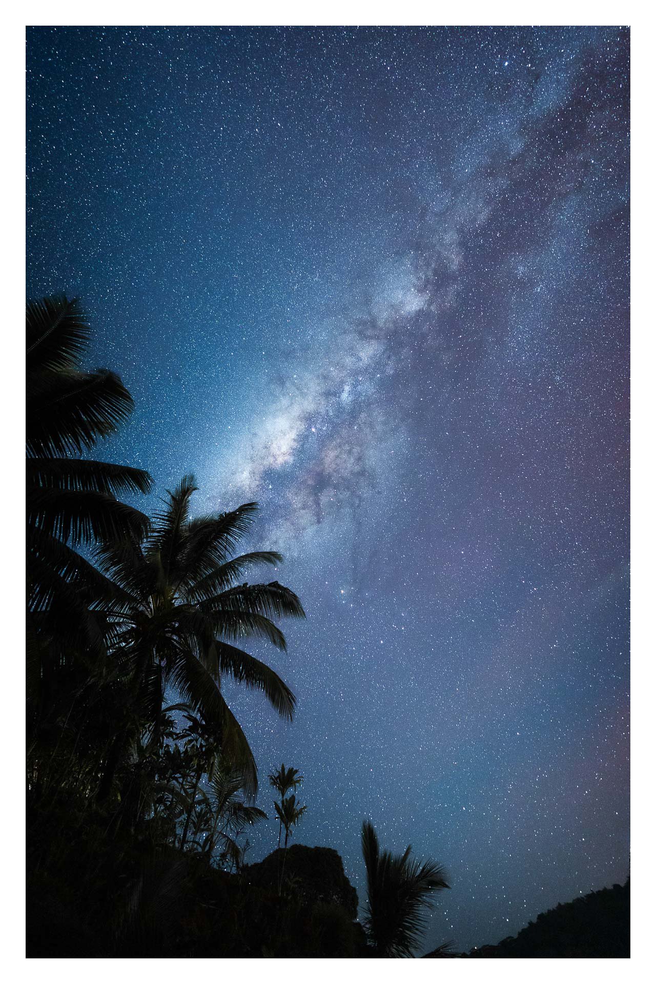 COSMOS - MO'OREA