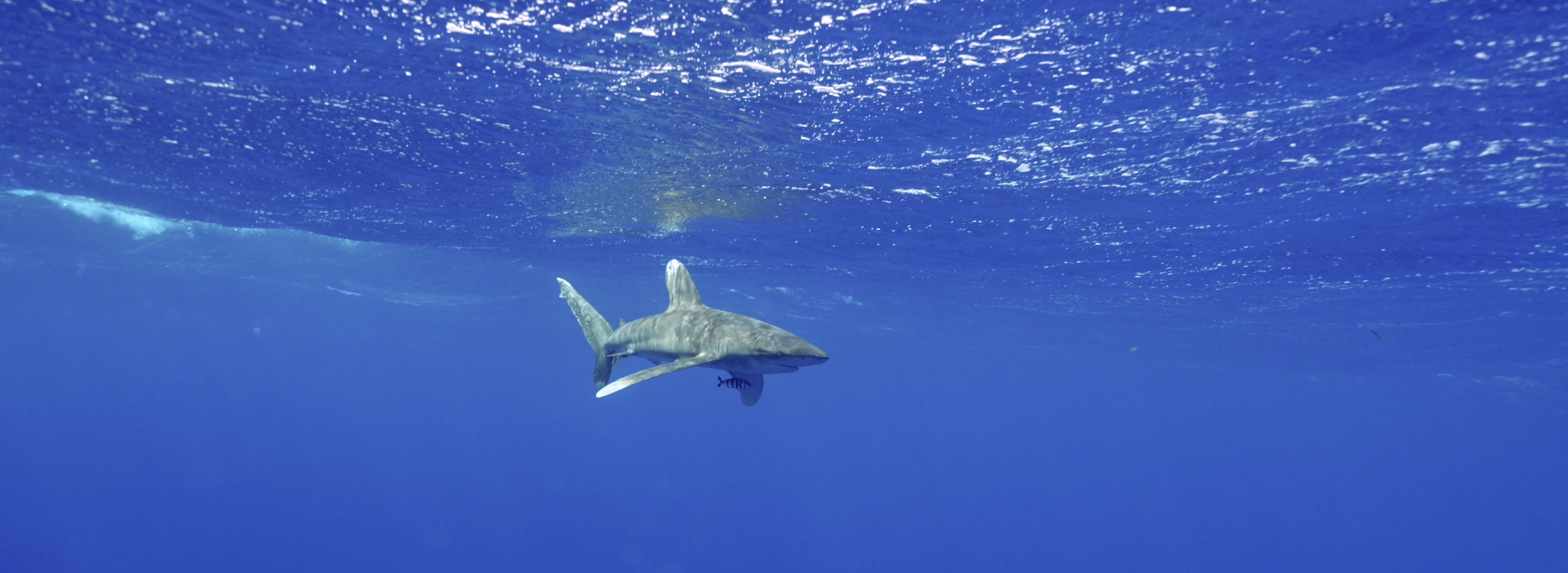 Capture d’écran 2026-03-28 à 13.47.36.png