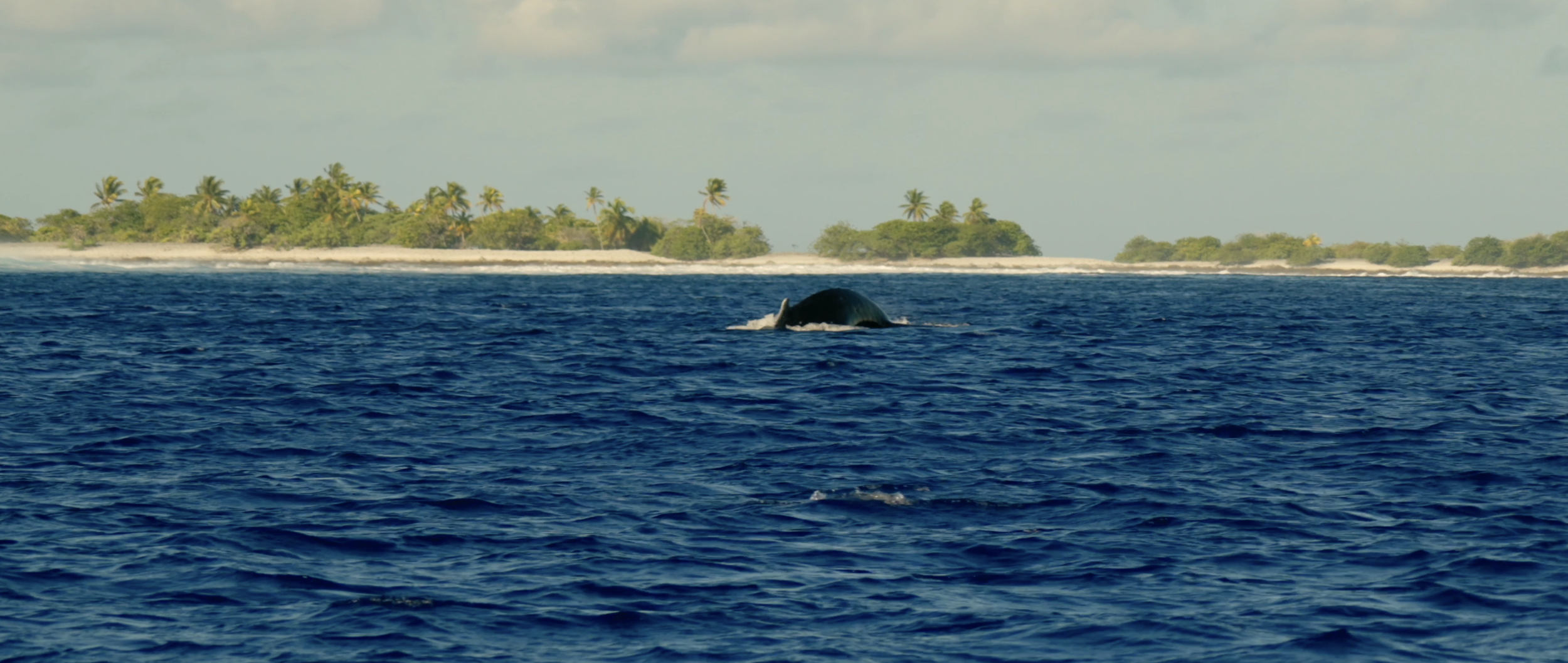 Capture d’écran 2026-03-28 à 14.55.30.png