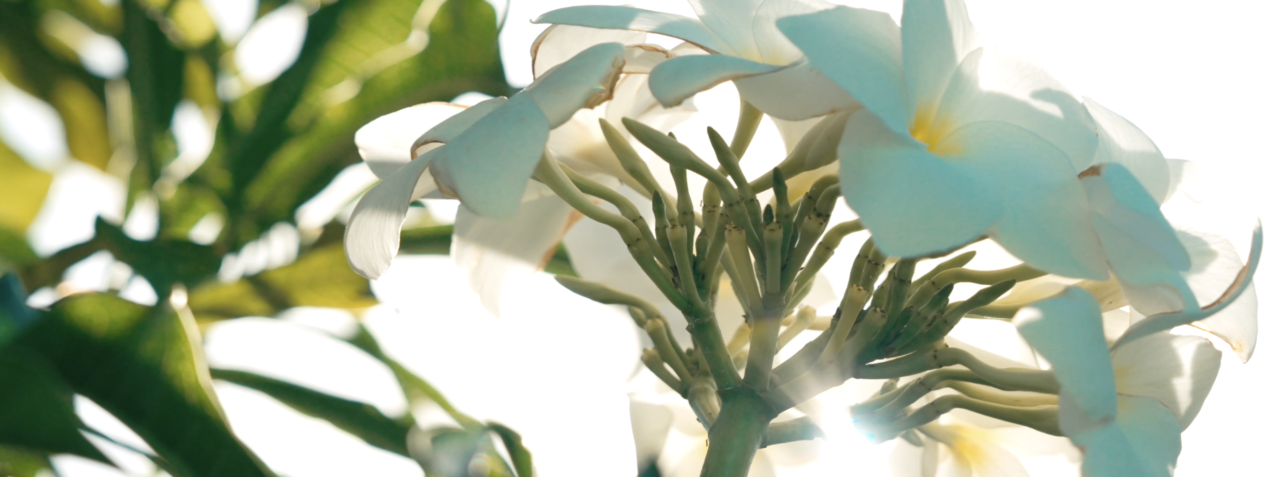 Capture d’écran 2026-03-28 à 13.33.18.png