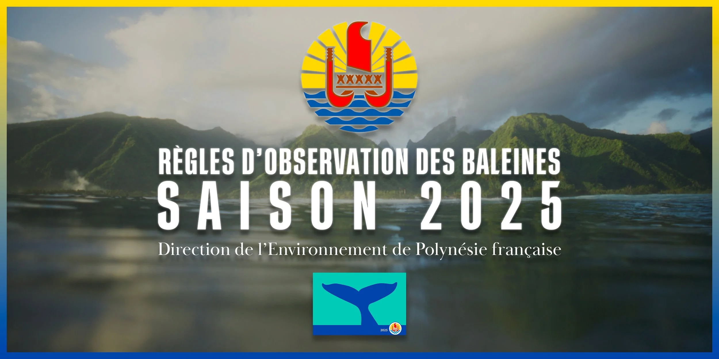 SENSIBILISATION : DIREN BALEINES 2025